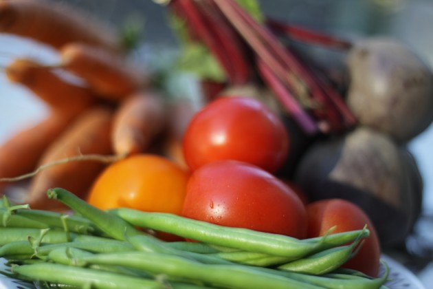 Vegetables from Härnevi nursery