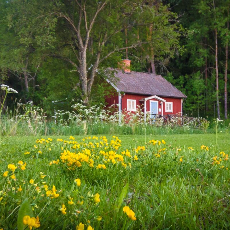 Pekoe organic tea store in Österunda sauna one summer day