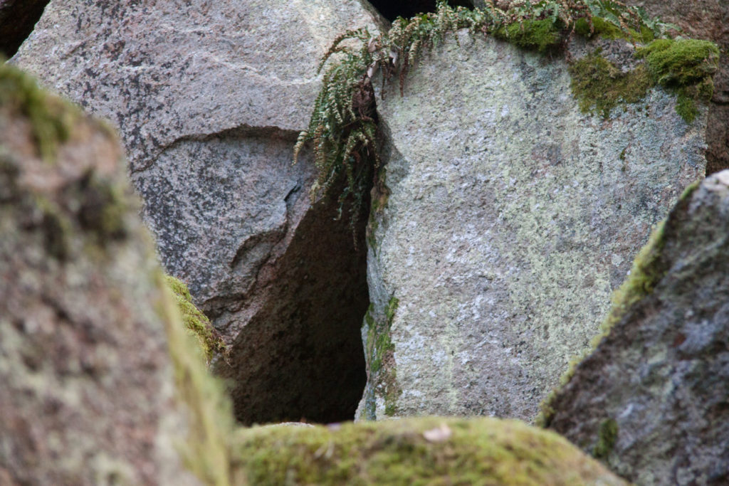 pukberget berg fjacc88rdhundraland grotta klippa klippor naturreservat pukberget skog 2017 februari 19 14 01 29 59475822 n 1793122 e