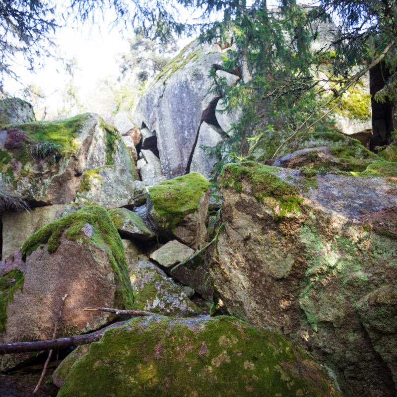 pukberget mountain fjacc88rdhundraland cave cliff cliffs nature reserve pukberget forest 2017 February 19 14 02 48 59475822 n 1793122 e