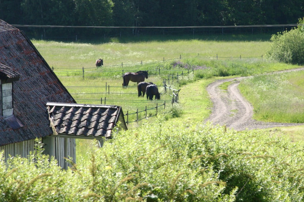 Jädra Gård 5 Jadra5