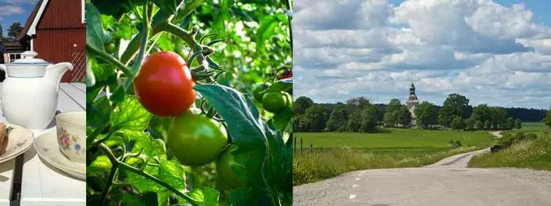 Mat & människor Västerås 27 cropped MoM header webb2