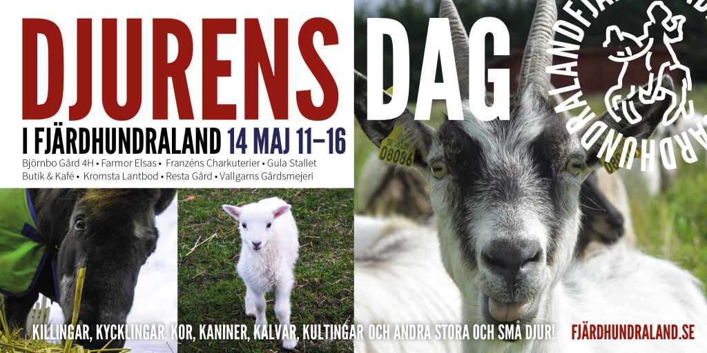 Djurens dag flyer