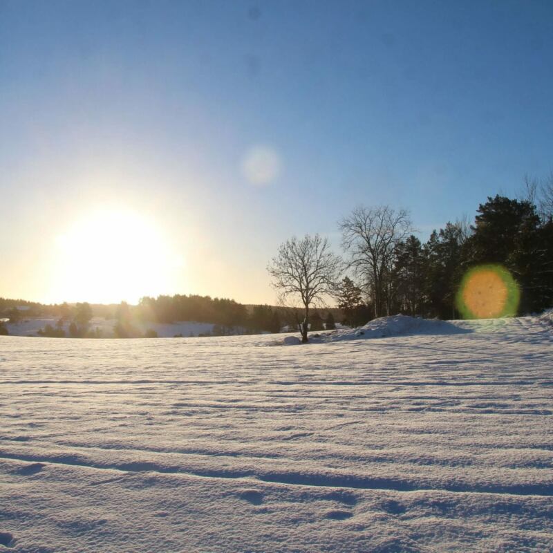 Snö och sol, motljus i Fjärdhundraland