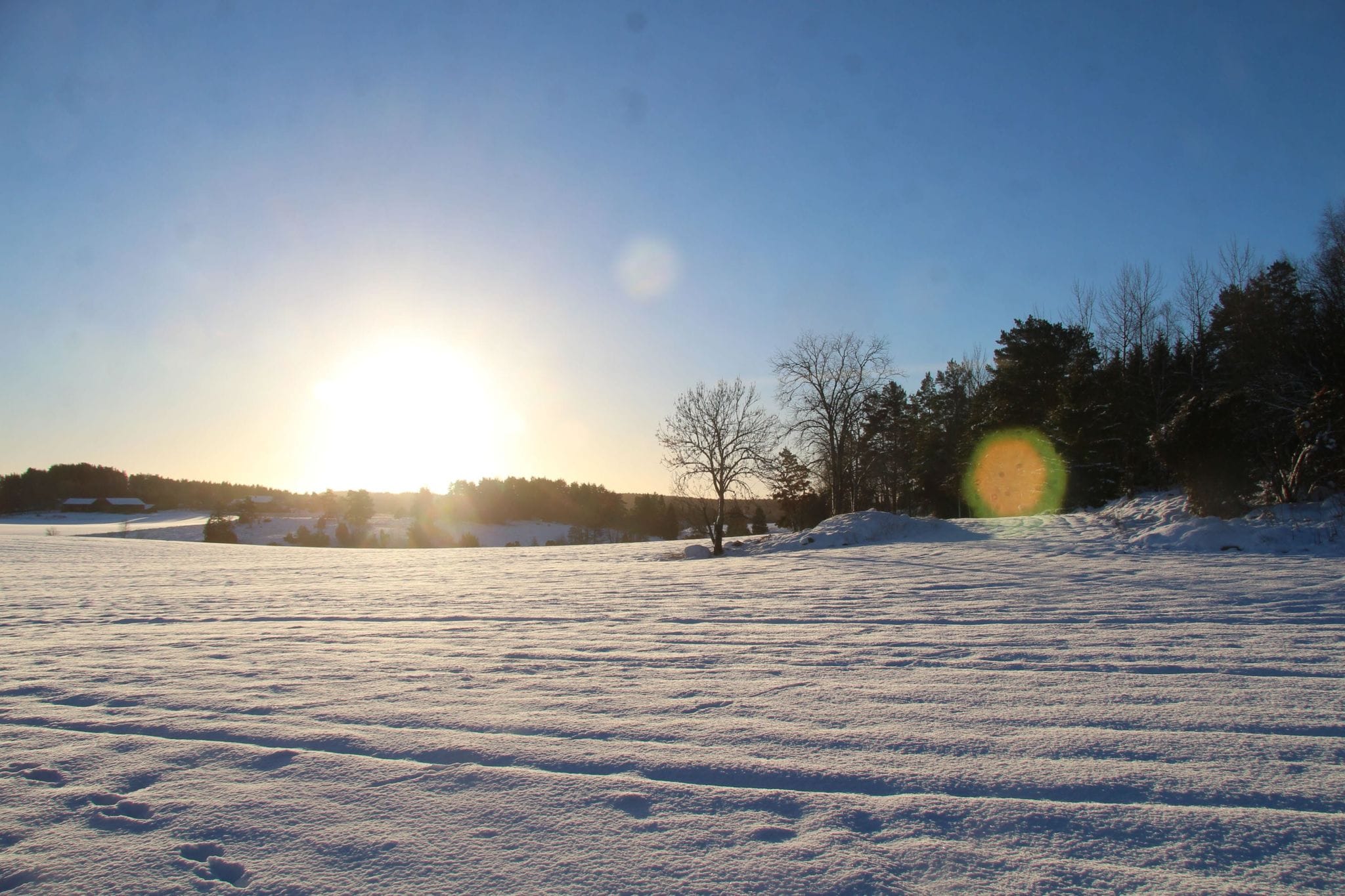 Snow and sun, backlight in Fjärdhundraland