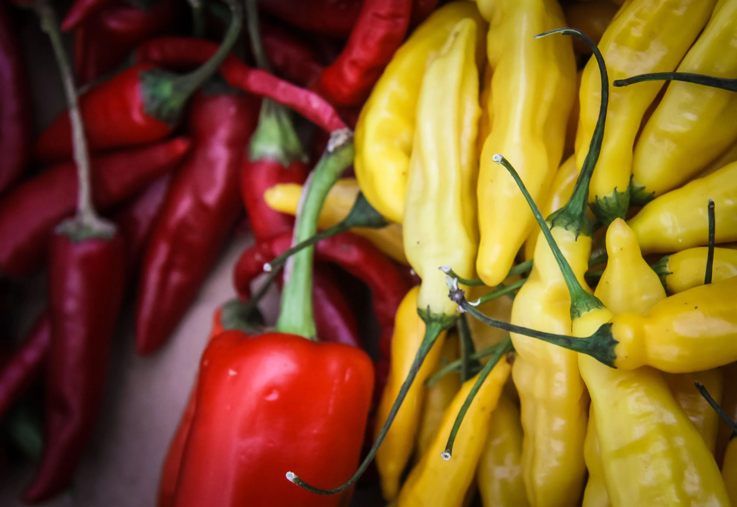 Sörgården chile verde