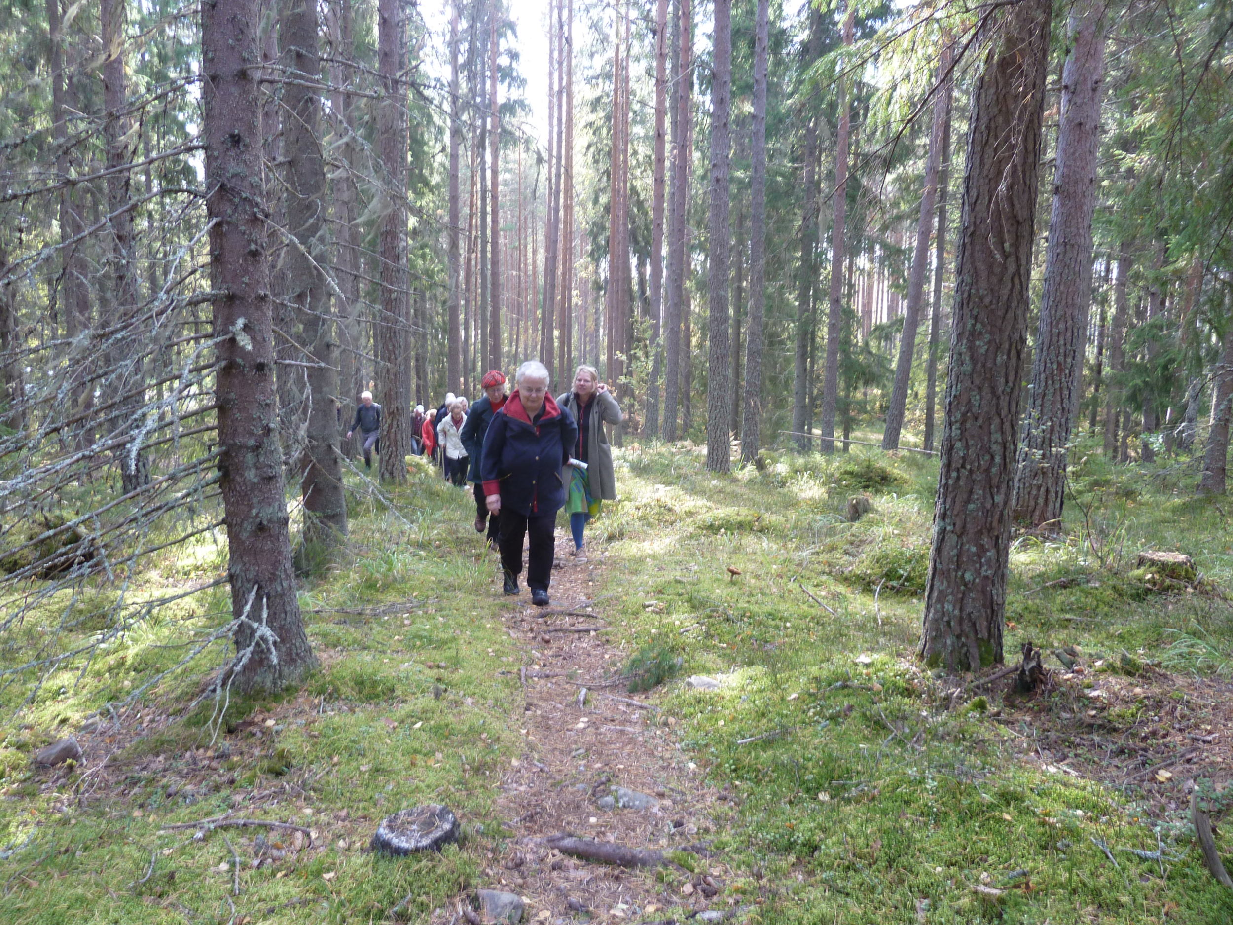 Kyrkstigen i Tärnsjö 7 kyrkstigen