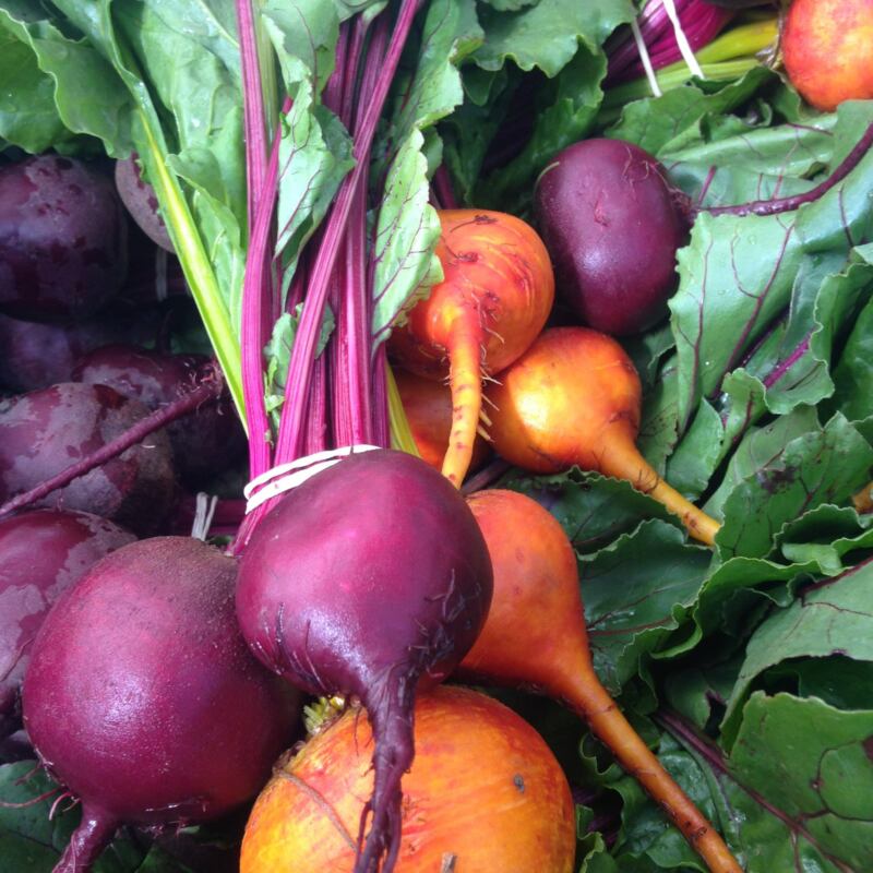 Beetroot and yellow beets