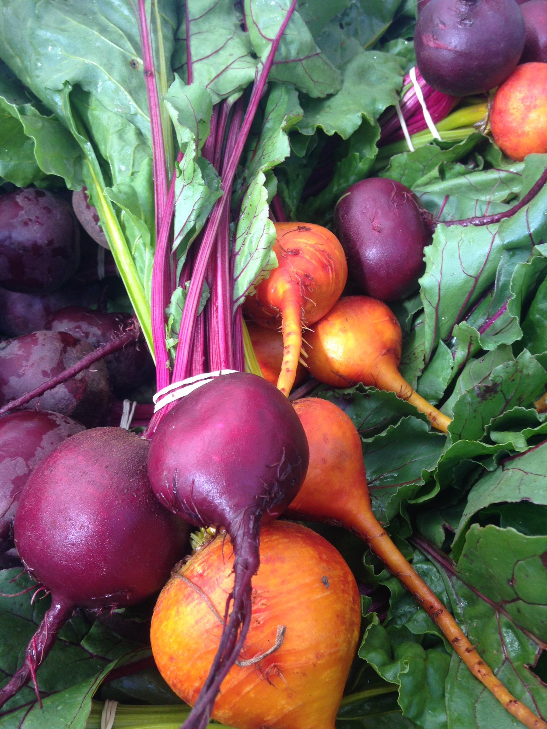 Beetroot and yellow beets