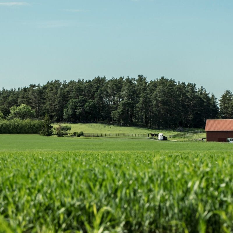 Living agricultural landscape