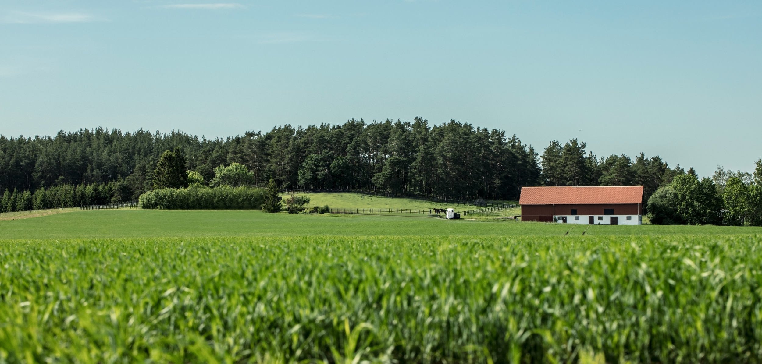 Living agricultural landscape