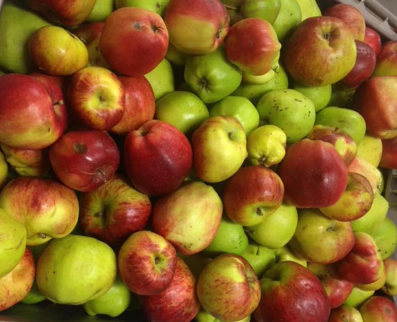 Swedish apples