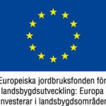 Fjärdhundralandsturen 2 eu flag