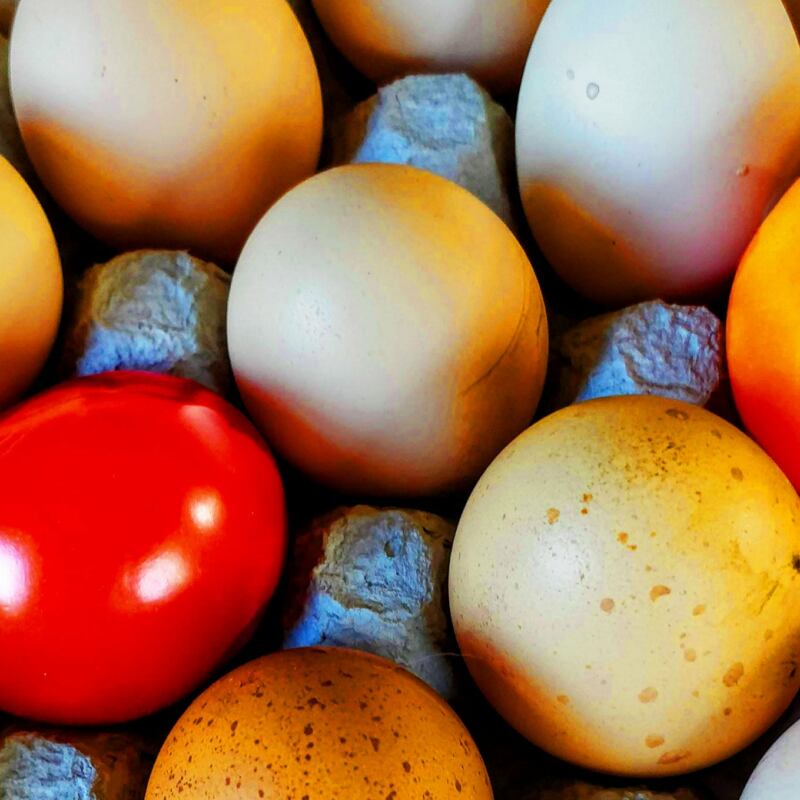 Food and people image with tomatoes and eggs in egg carton