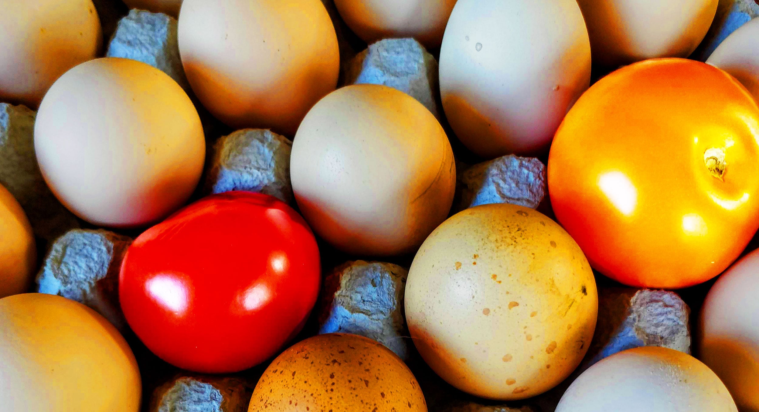 Food and people image with tomatoes and eggs in egg carton