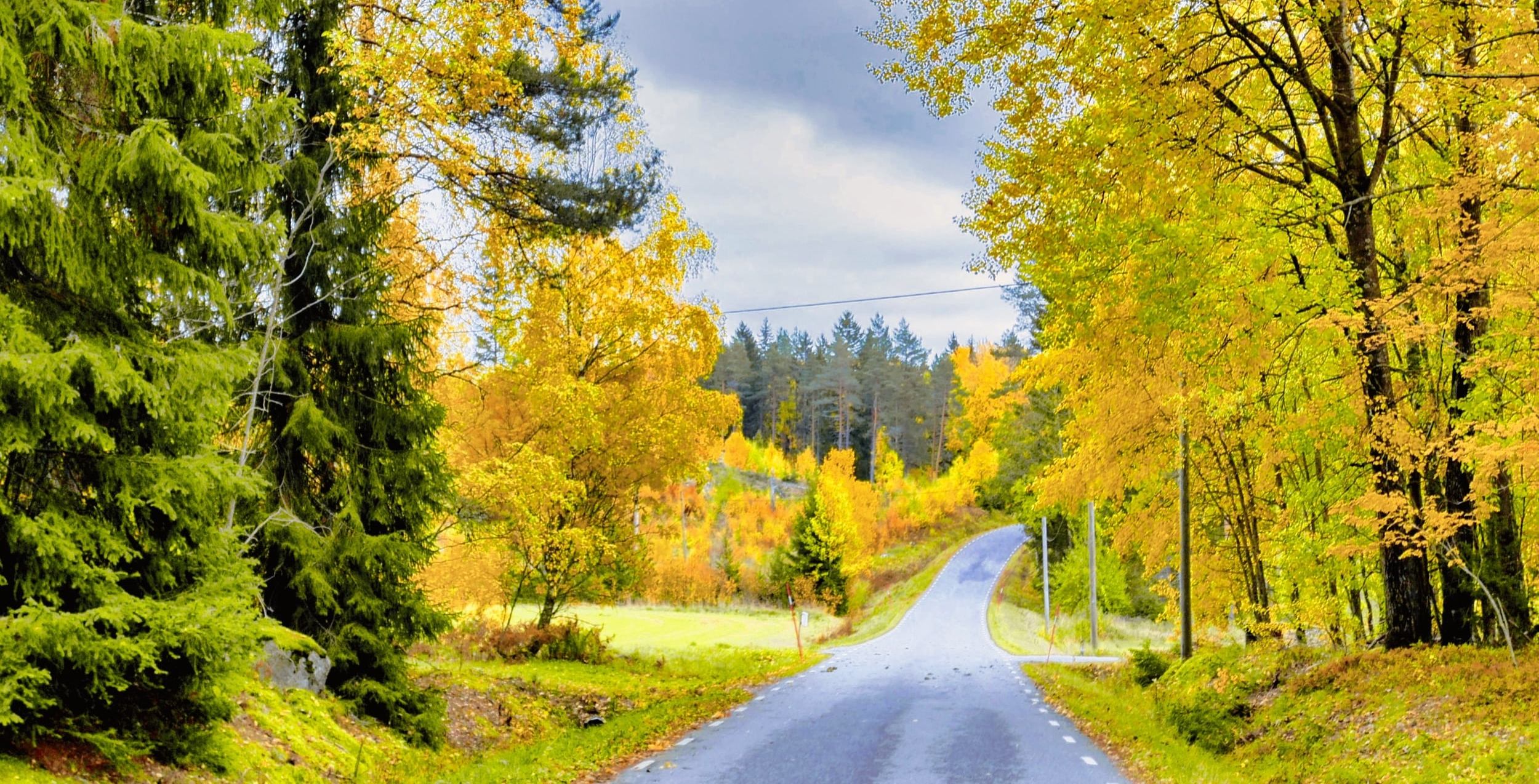 Autumn road Fjärdhundraland