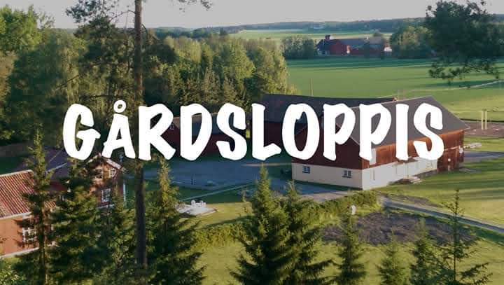 Gårdsloppis 1 gacc8ardsloppis