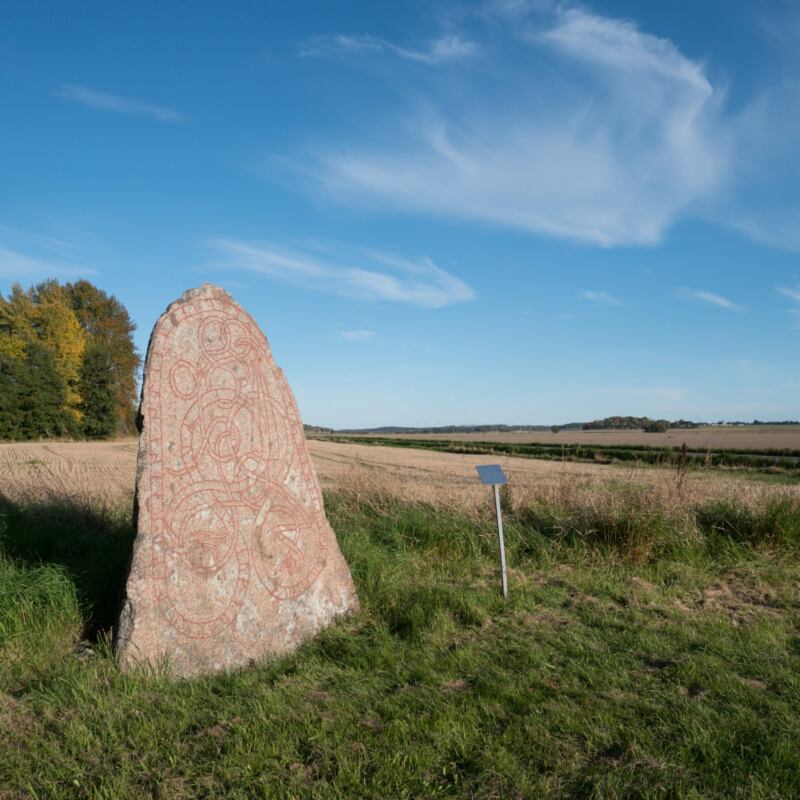 Tullstorps Rune Stone For sale as Framed Prints, Photos, Wall Art and Photo  Gifts