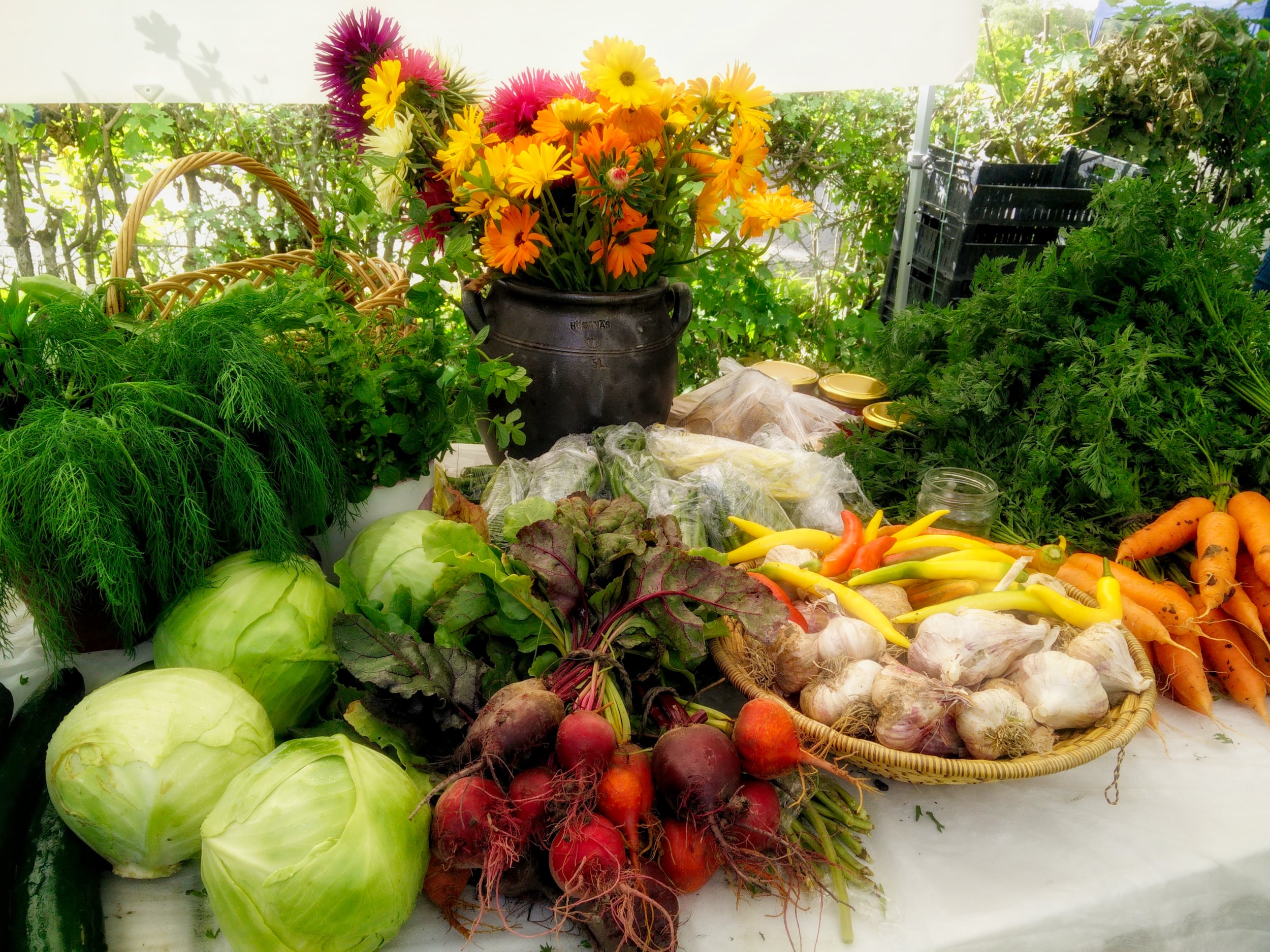 Matmarknad trädgårdsdagen Enköping, bild på grönsaker
