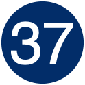 37svg