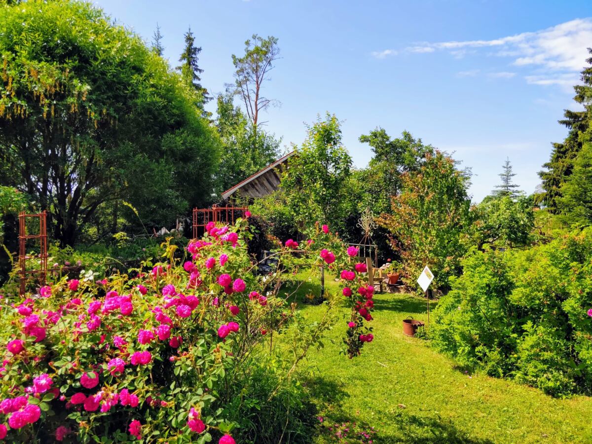 Fjärdhundraland lokal mat, vacker natur, rik historia