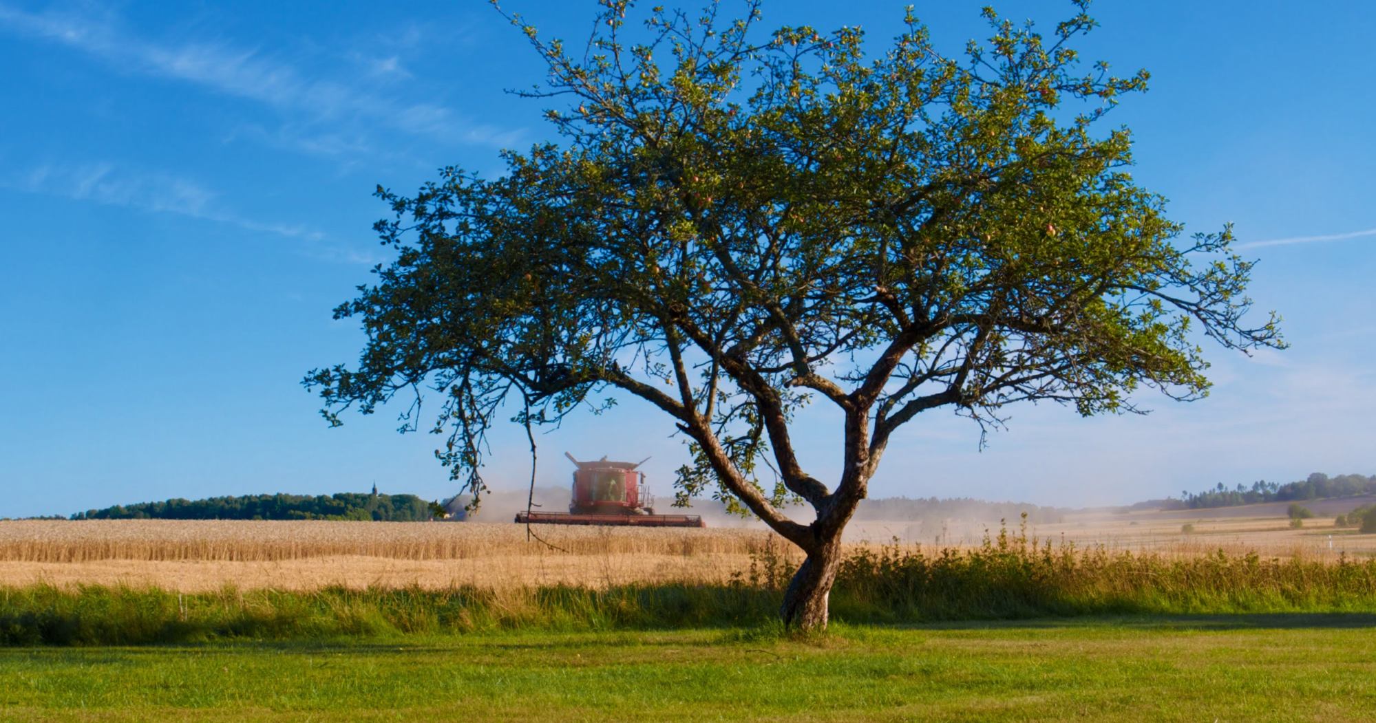 Combine harvester Altuna Fjärhundraland