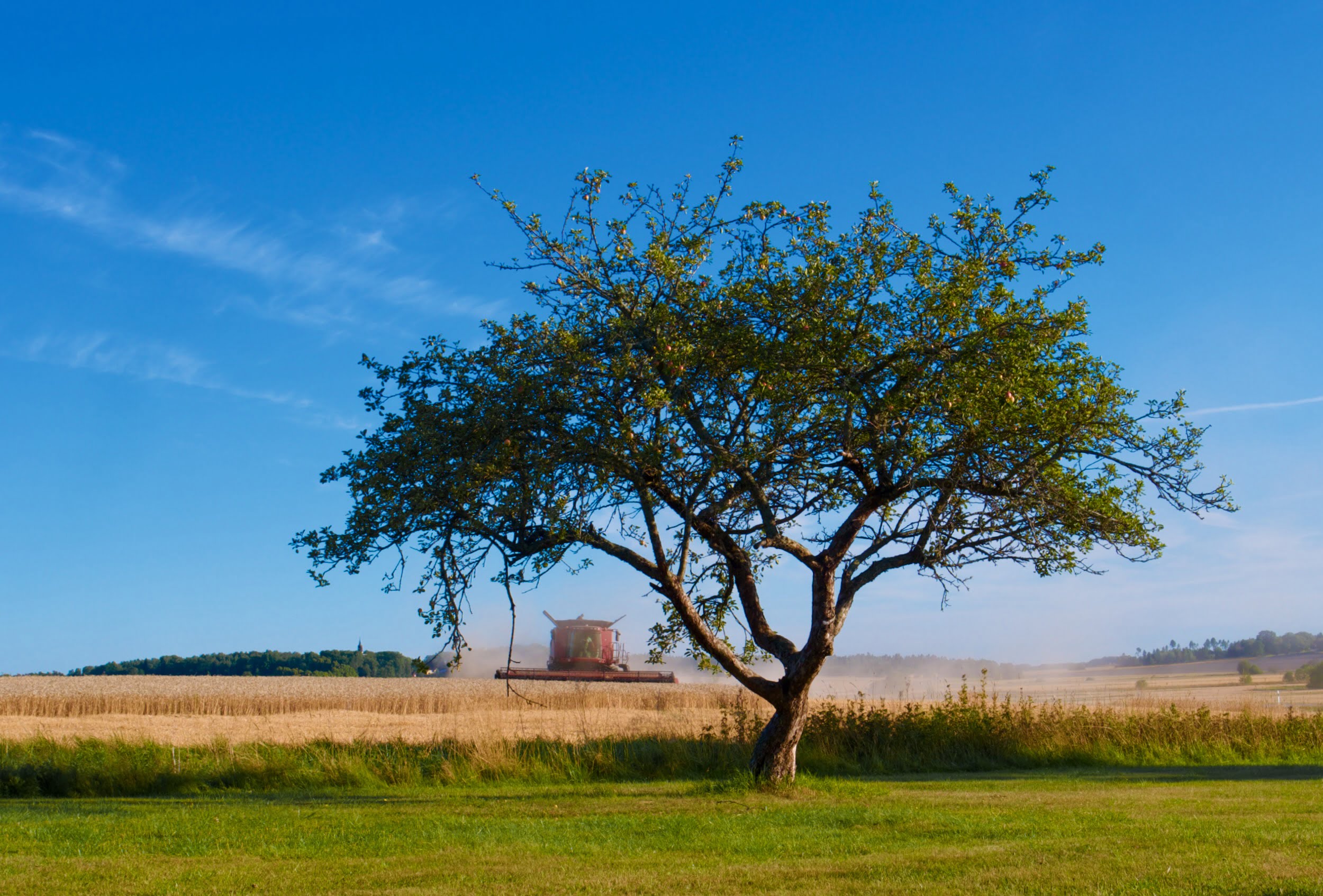 Combine harvester Altuna Fjärhundraland