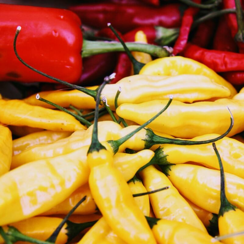 The food worth traveling for 1 matomaniacs