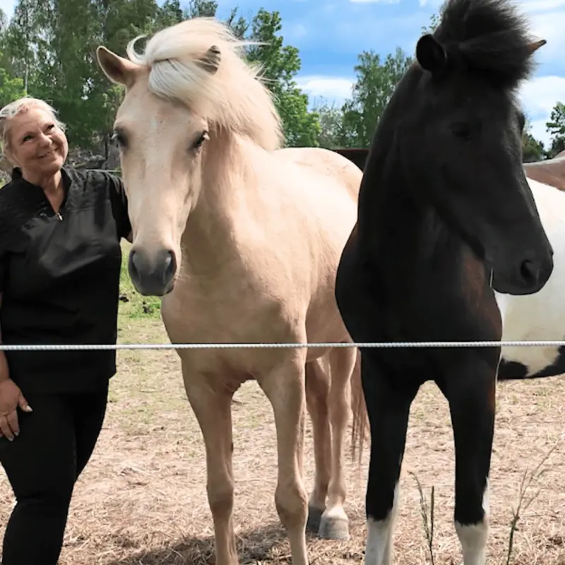 svala och aleiga