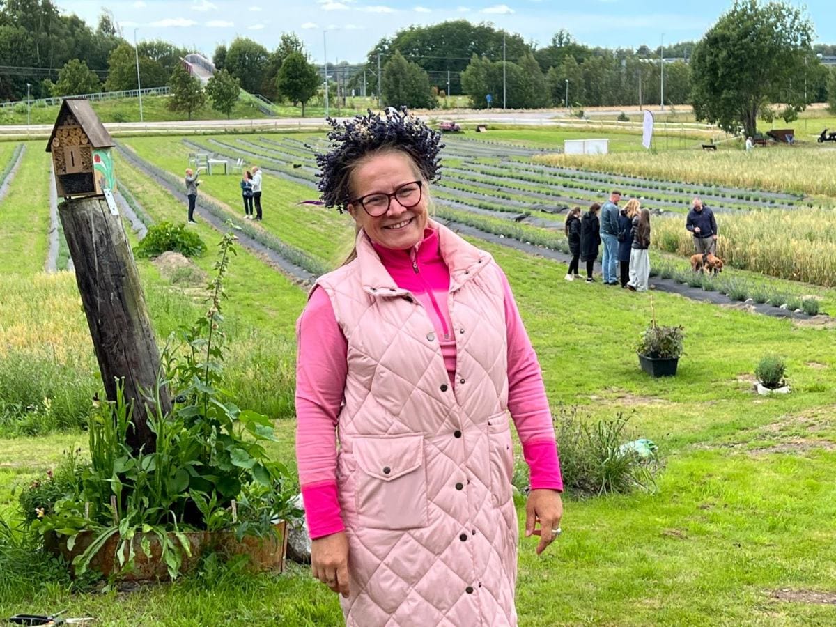 Stockholm lavendel 2 25b7df20 bd66 4558 b8f7 6065bc1a9702