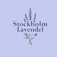 Stockholm lavendel 6 image 240x240 1