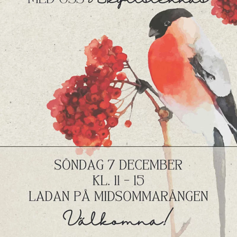 Advent in Boogschutter 2025