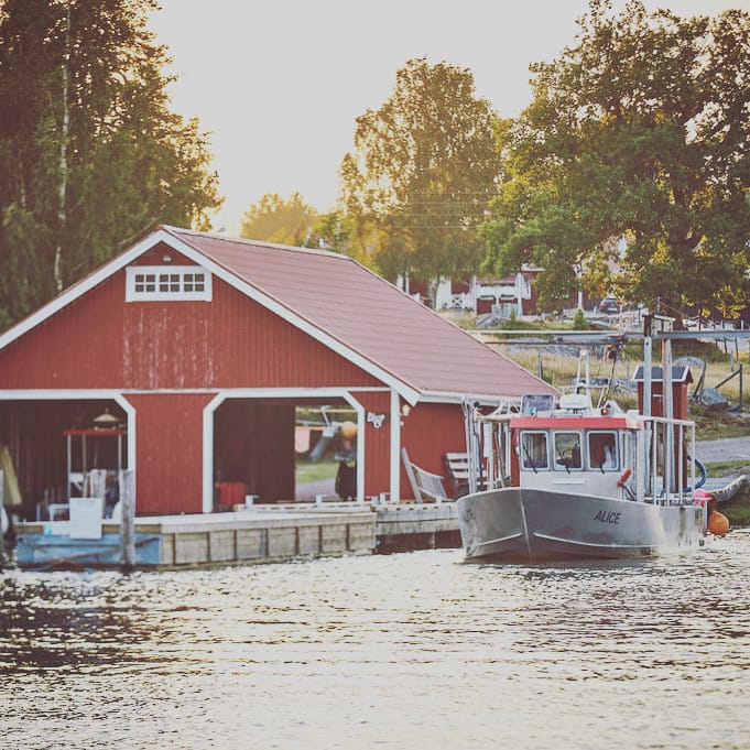 28e16561 5287 46e8 ab33 aada486a21a0