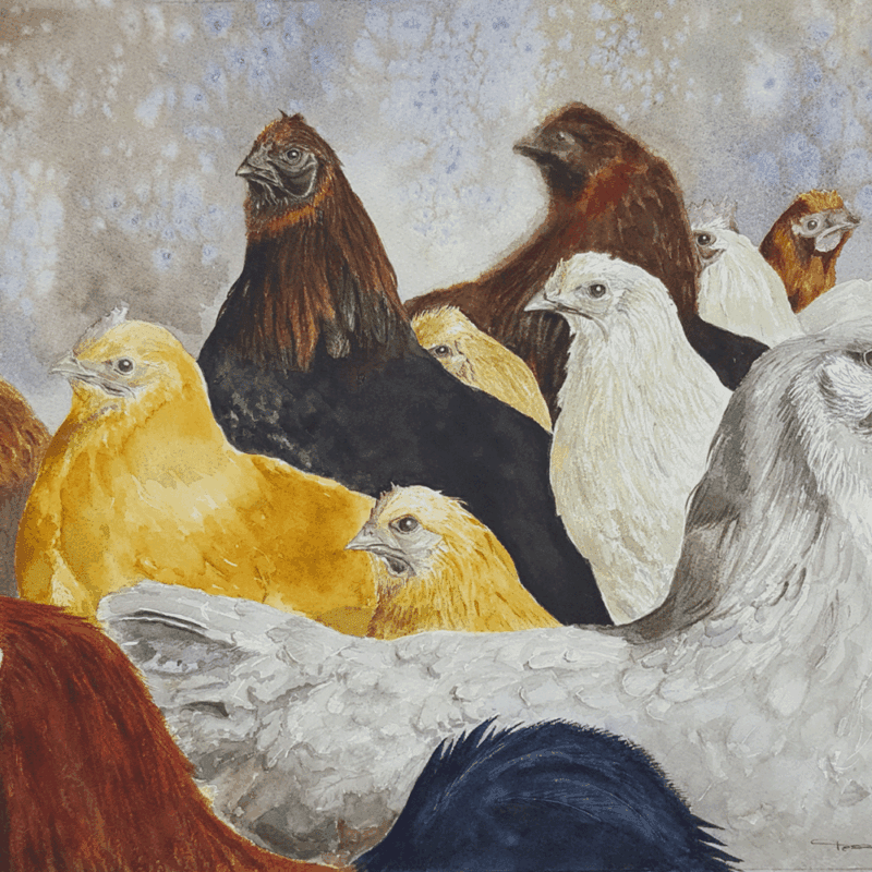 2019 hedemorahens compressed enarsson web