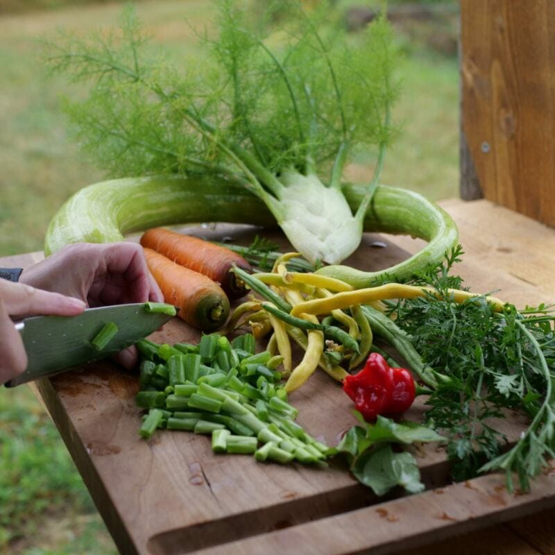 Offers 20 sunshine35