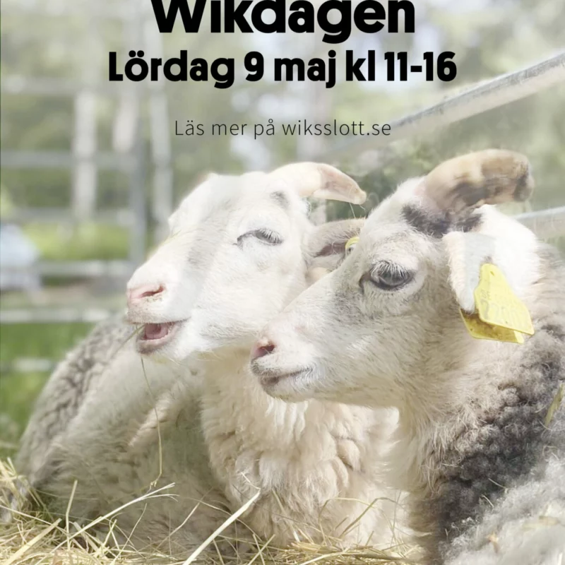 meta anuncio 1080x1920 wikdagen2026