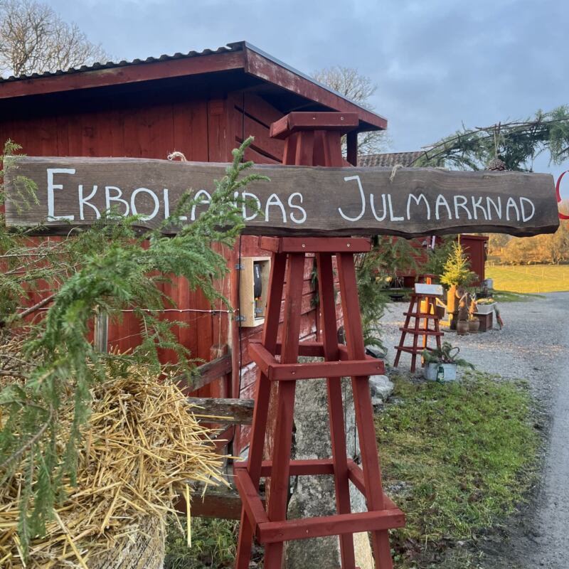 Erbjudanden 25 img 1728